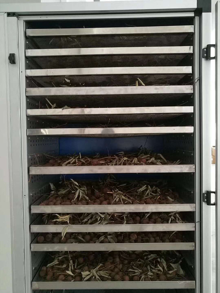 烘干輸送機(jī)