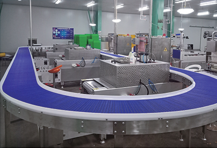 塑料模塊網(wǎng)帶輸送機(jī)